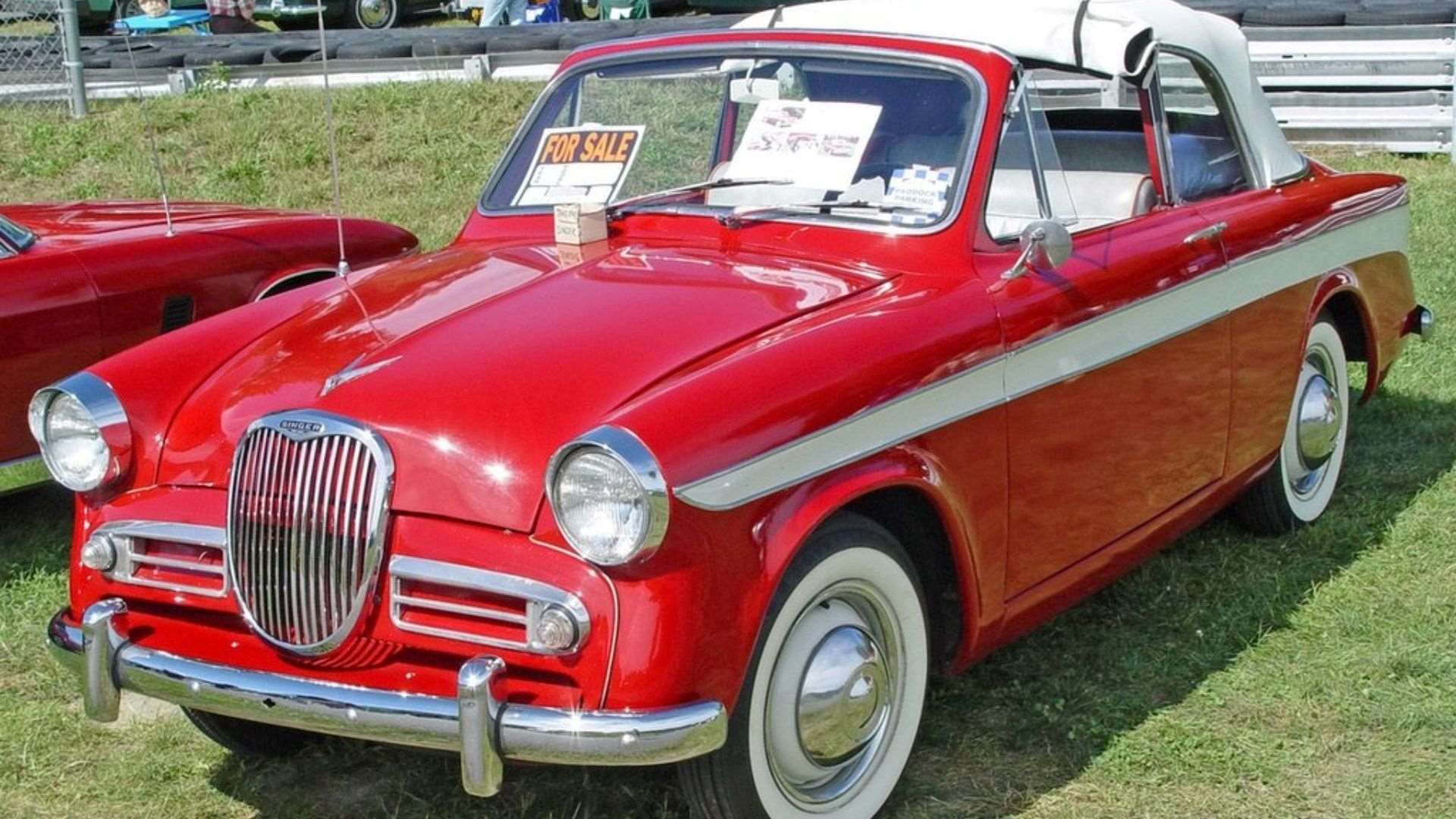 singer_gazelle__1 copy.jpg