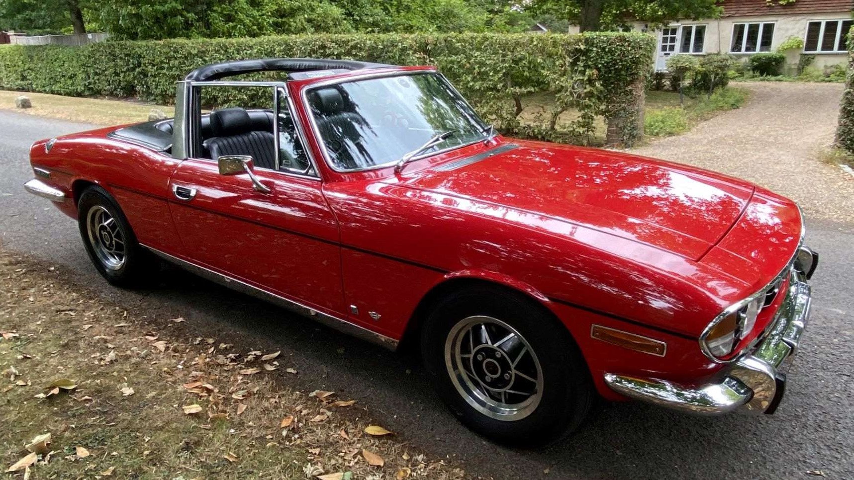 triumphstag copy.jpg