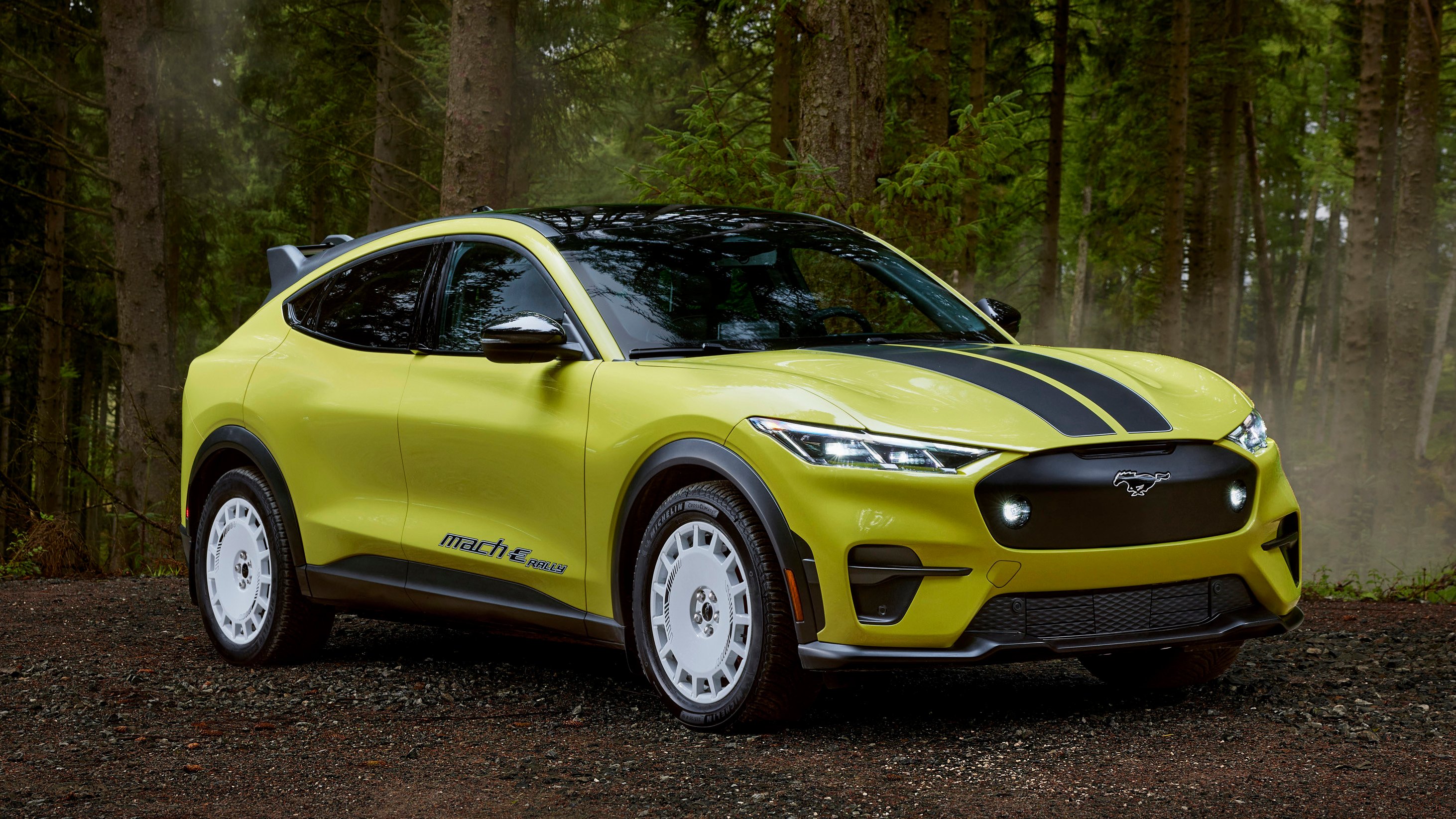Ford Mustang Mach-E Rally copy.jpg