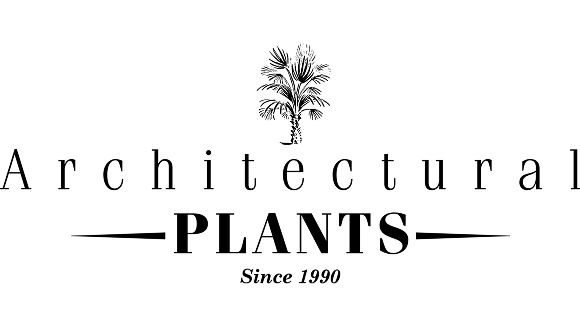 architectureplants-ex.png
