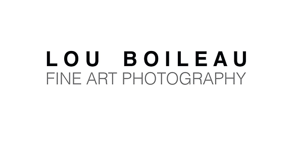 Partner_LouBoileau.png
