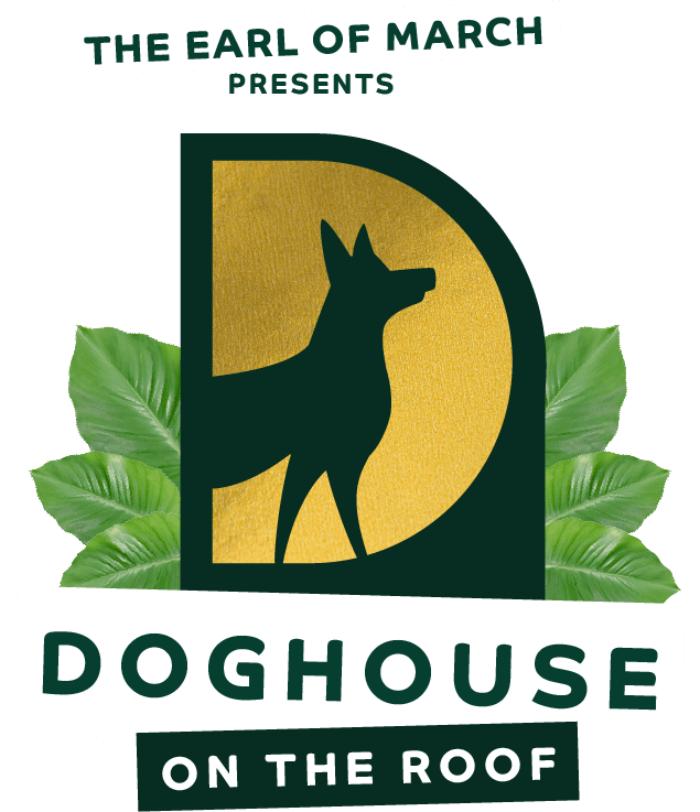 doghouse-hero-24.png