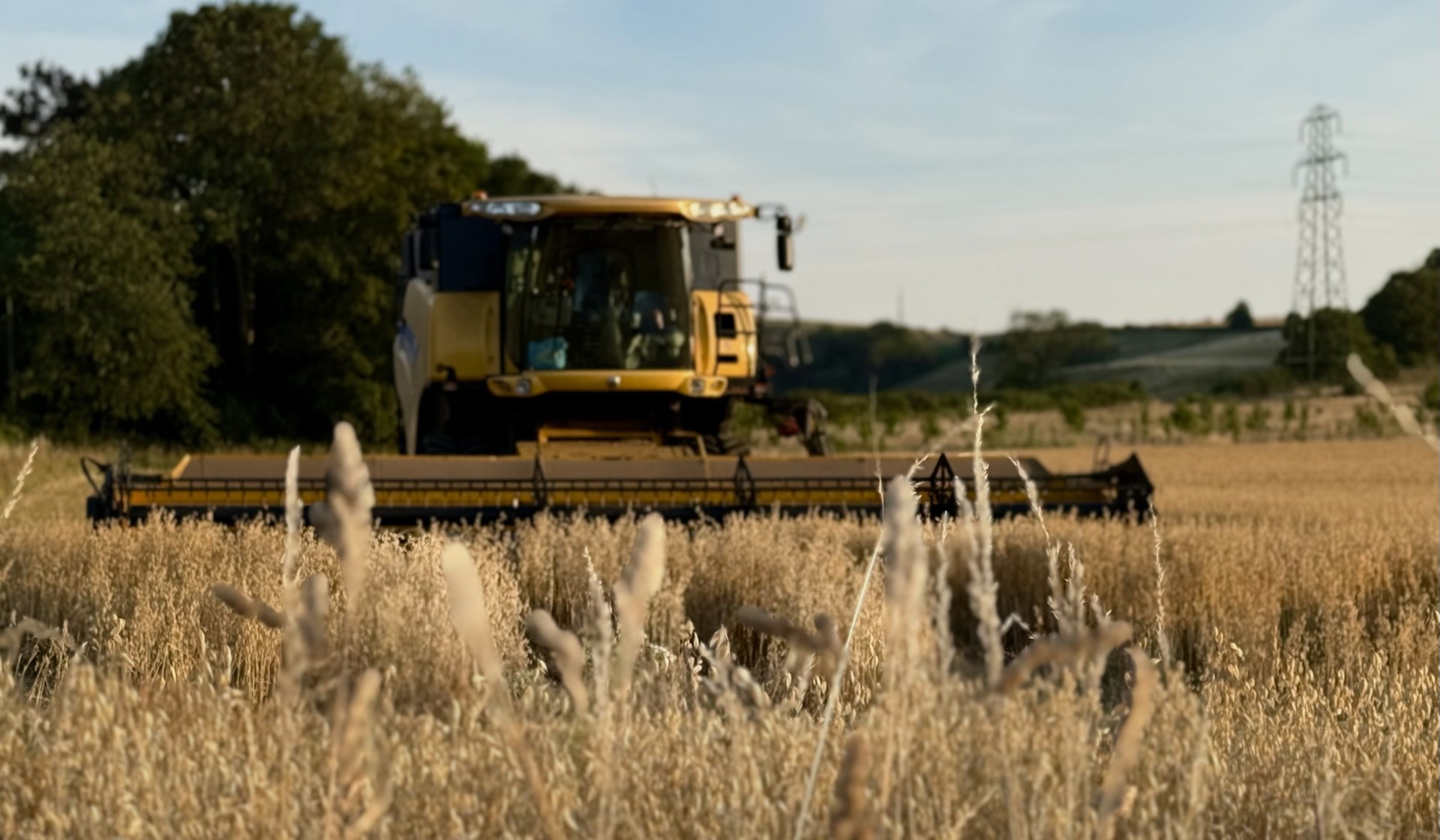 Combine 6.jpg