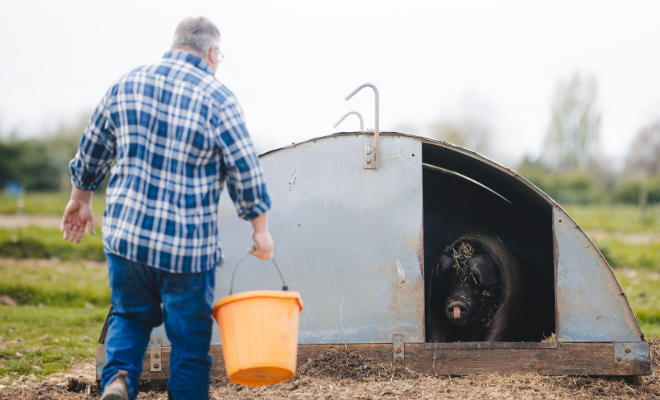 Estate Sizing Template (22).png