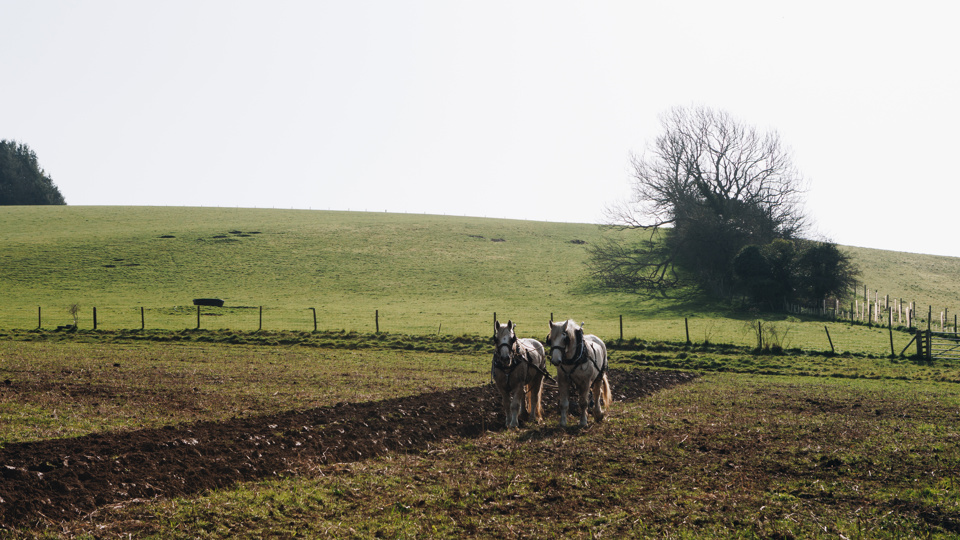 Ploughing_JohnathanSwann__10.jpg