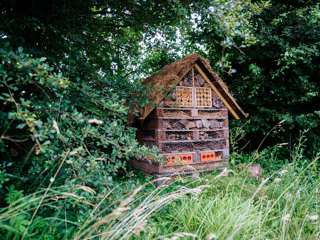 goodwoodbughotel_jaysonfong_024.jpg