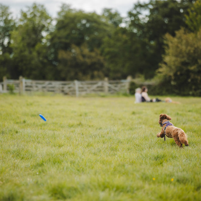 Goodwoof2026_KirstyJayneRussell_521.jpg