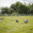 Goodwoof2026_KirstyJayneRussell_523.jpg