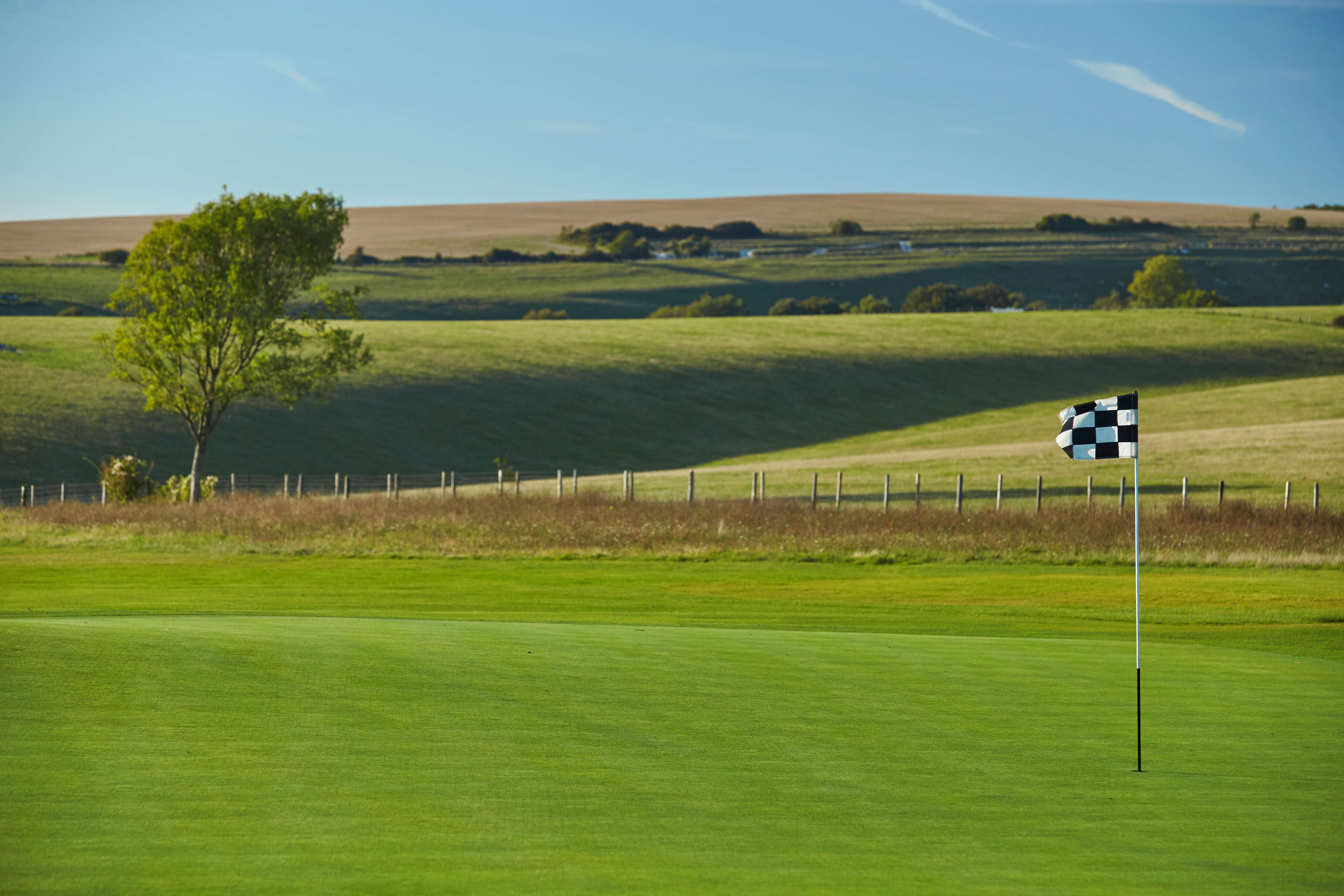 Goodwood Flag in or Flag out?