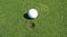 Park Course pitch marks.jpg