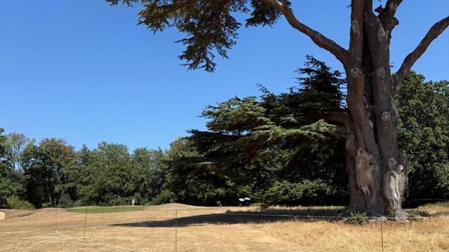 Park Course (5).jpeg