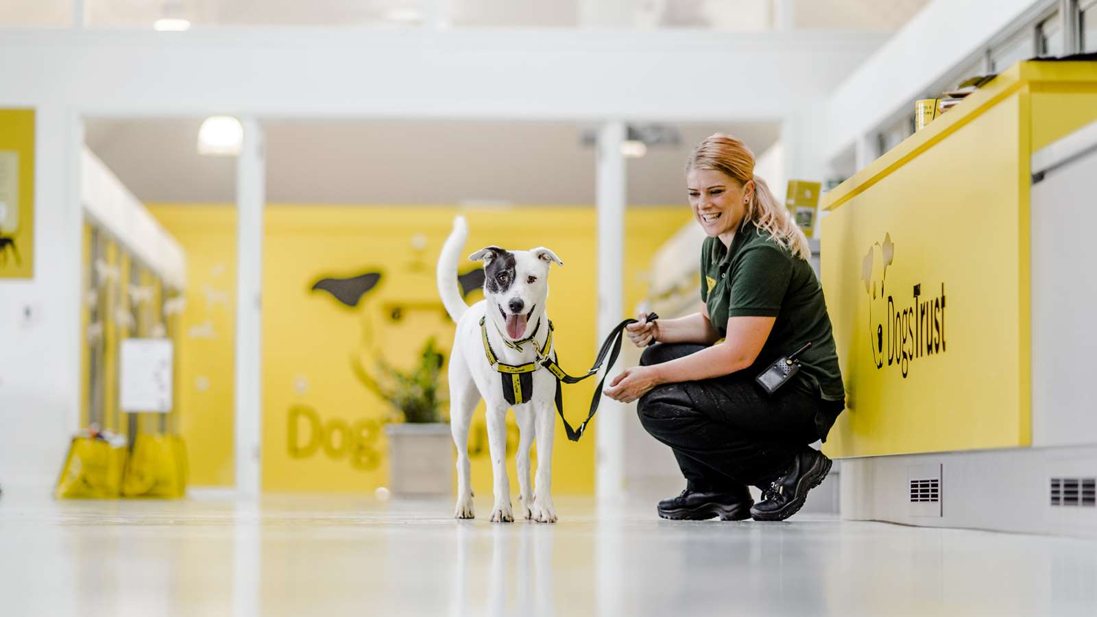 Lady with dog at Dogs Trust HQ, charity partner at Goodwoof dog event.