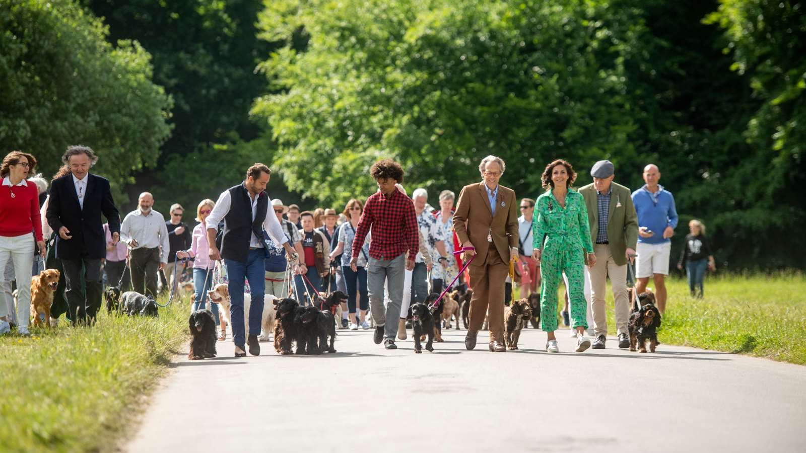 Picture showing a parade of Spaniels led by The Duke of Richmond