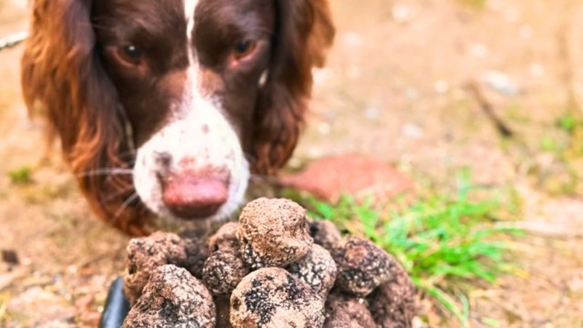 Photo 22-10-2025, 17 21 271.jpg