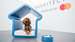 Spaniel lying in a blue dog kennel