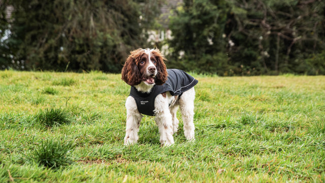 81309-81312_fleece-lined-dog-raincoat-16.jpg