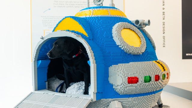 Goodwoof2026_TomShaxson-38.jpg