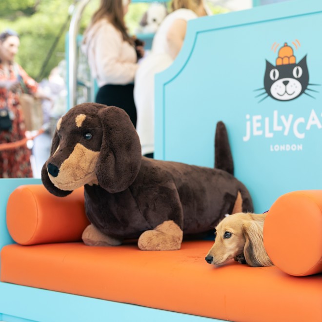 Jellycat at Goodwoof.jpg