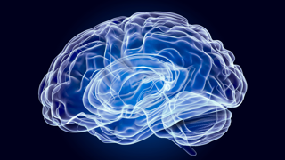 Neurofeedback hero.png