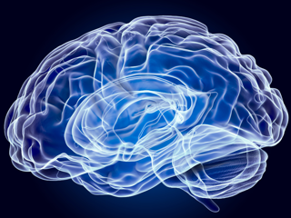 Neurofeedback hero.png