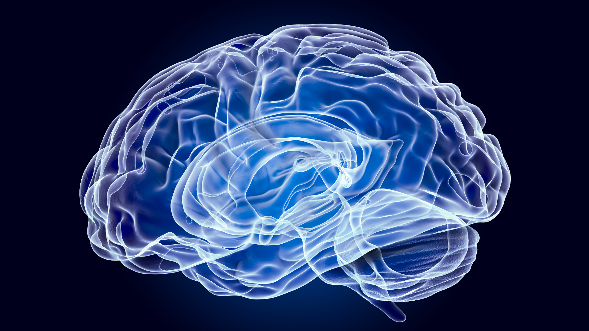 Neurofeedback hero.png