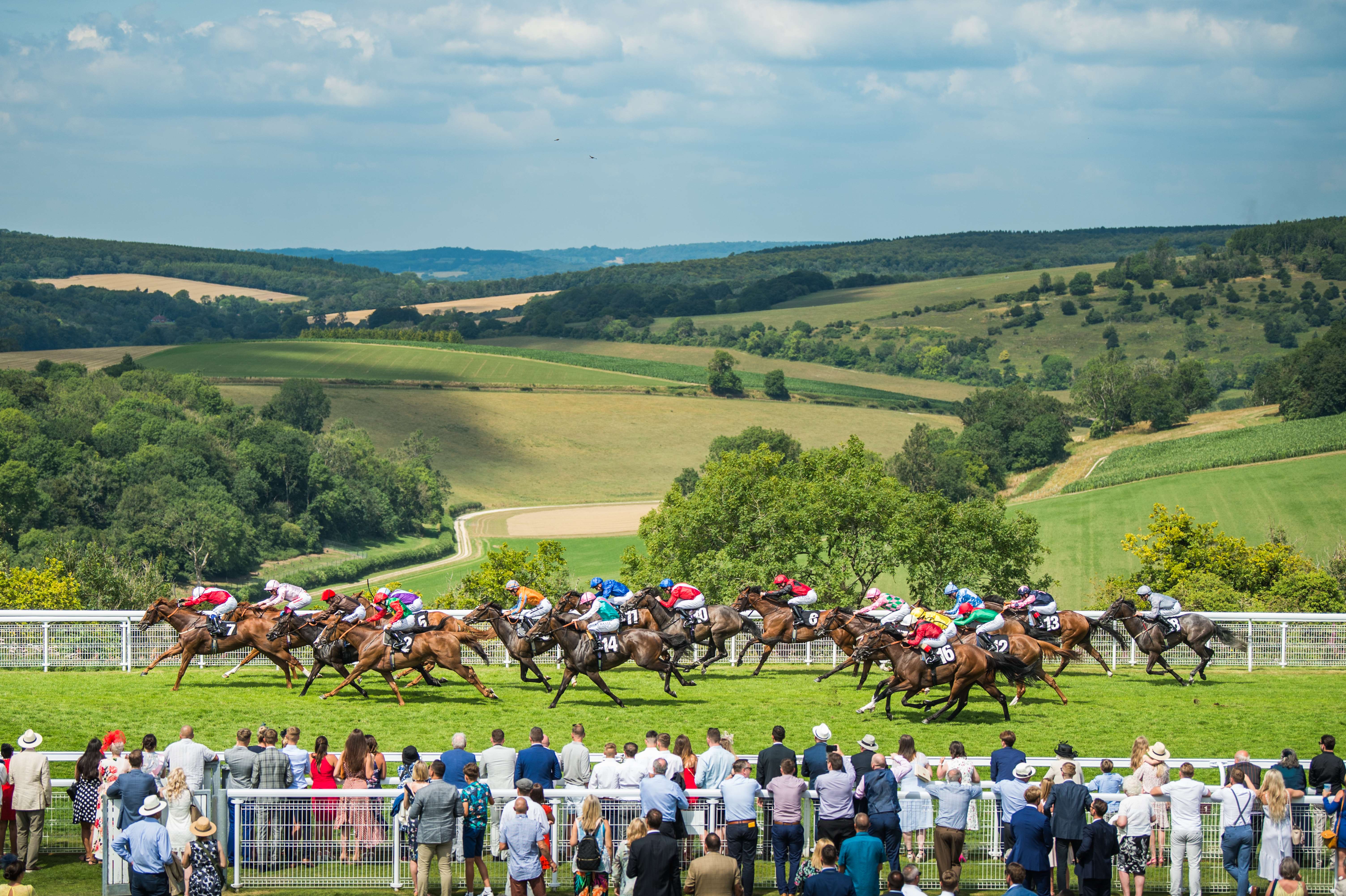 Horseracing at Goodwood | Racecourse in Chichester | Goodwood Racecourse