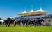 Horses racing at Qatar Goodwood Festival.