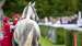 picking a winner horse goodwood racecourse.jpg