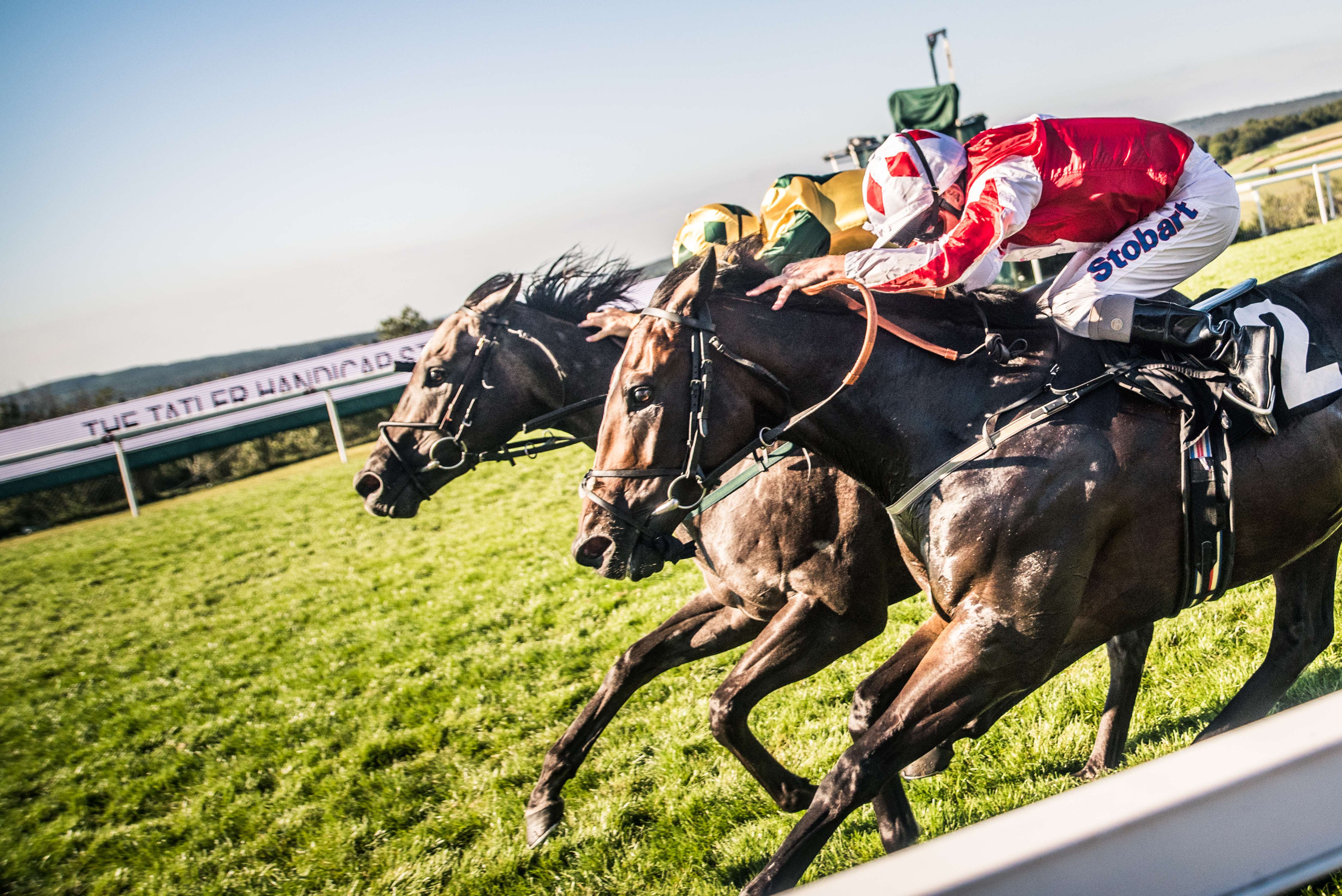 Horse Racing Jargon, Phrases and Language Guide]