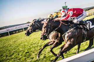 glorious-goodwood-red-white-silks-horses-racing.jpg