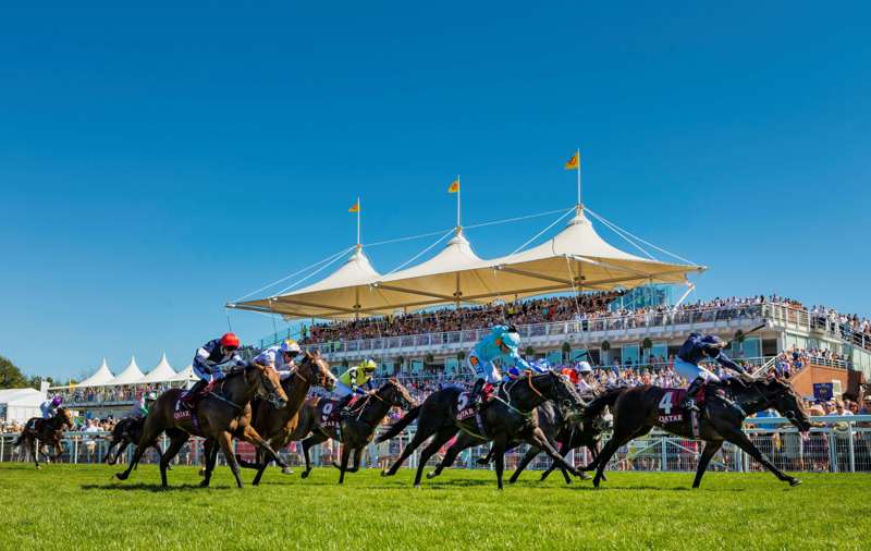Gordon Enclosure Goodwood