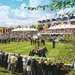 A busy parade ring at the Qatar Goodwood Festival. 