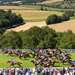 Views of the South Downs, with racing at Glorious Goodwood (Qatar Goodwood Festival). 