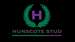 Hunscote Stud Logo.jpg