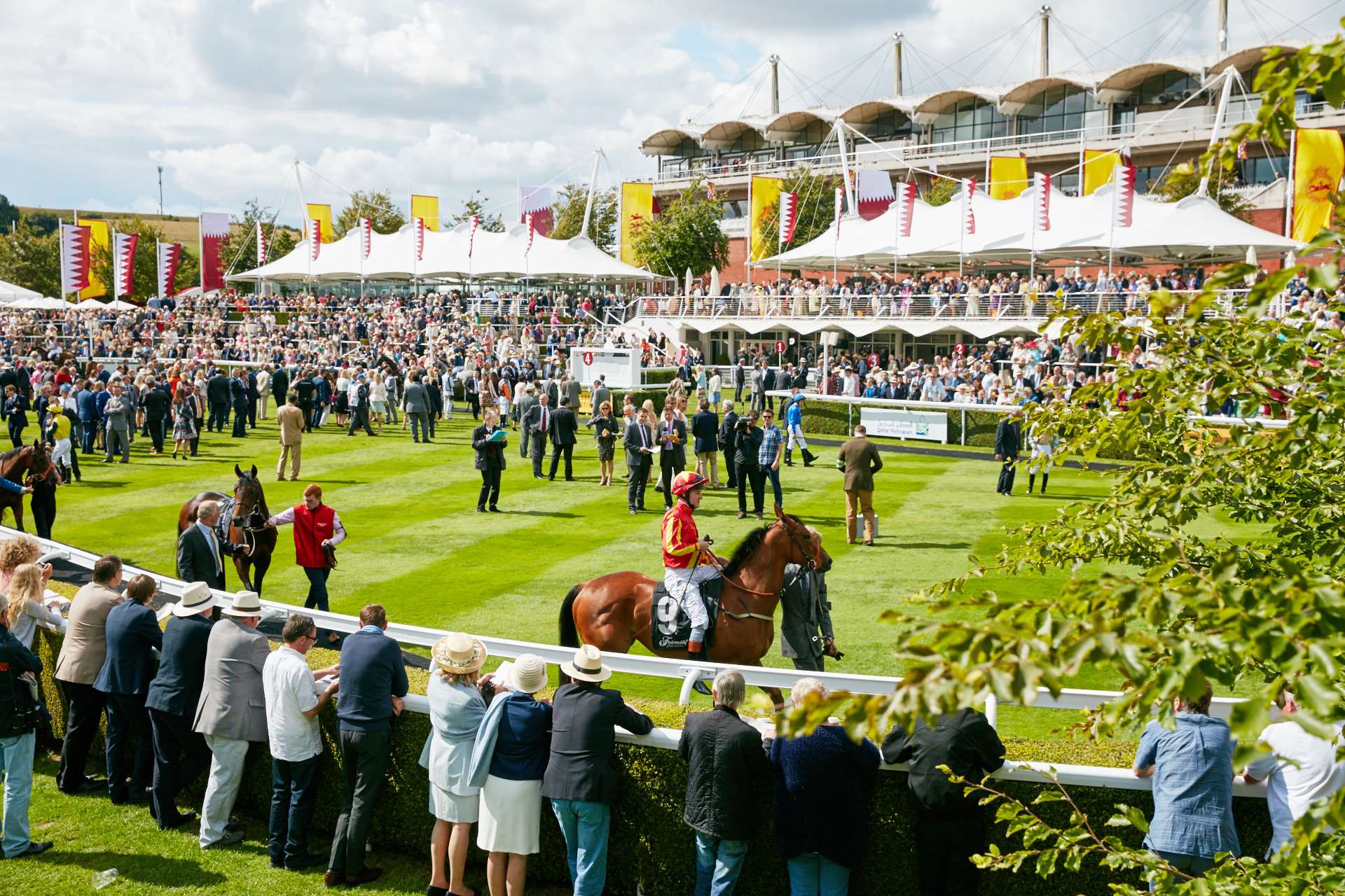 Enclosure Guide Goodwood Racecourse Horseracing