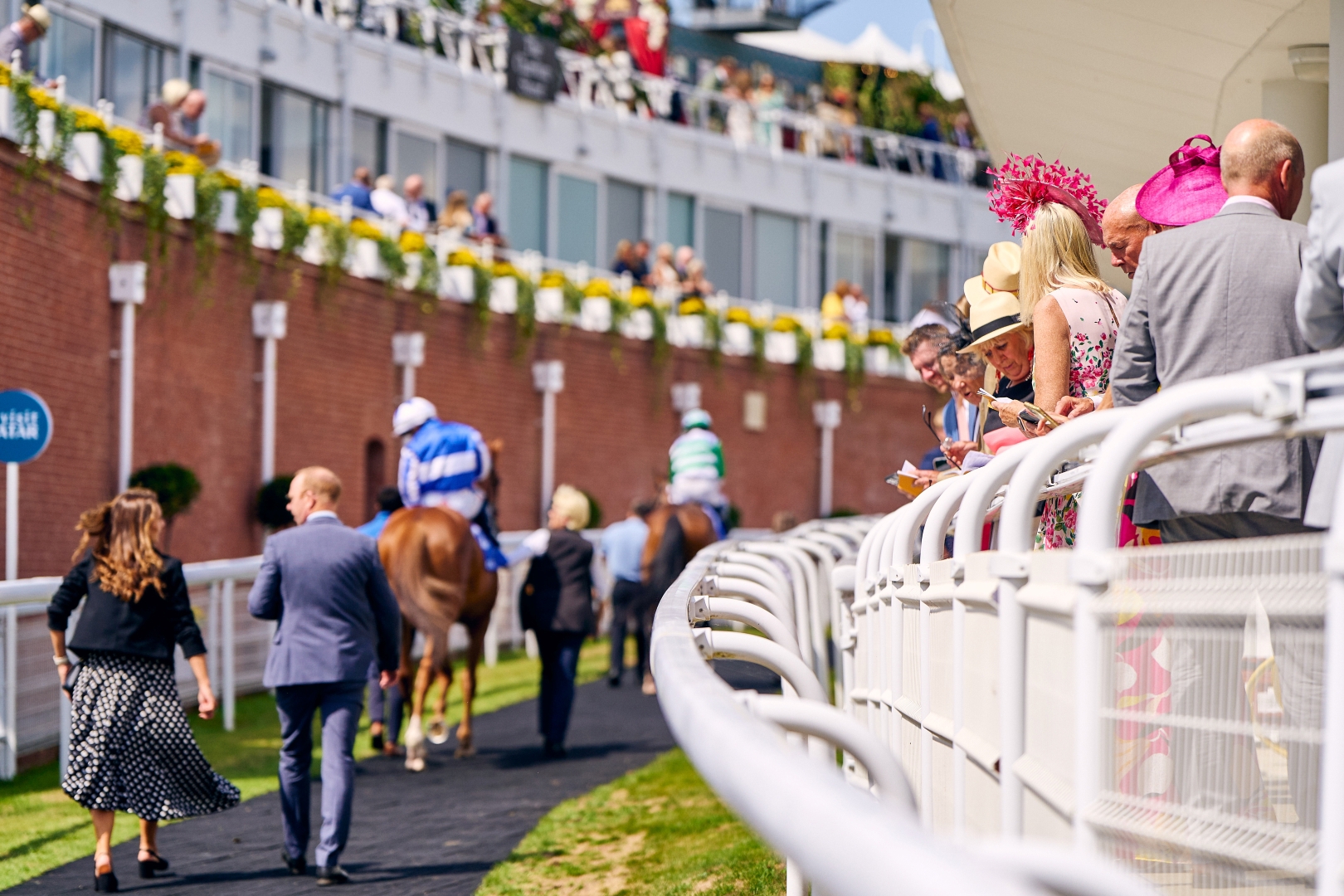 Double Trigger restaurant has prime view over the Horse Walk at Goodwood Racecourse Ph. by Dominic James.jpg