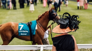Parade Ring at Qatar Goodwood Festival presented by Visit Qatar Ph. by Kirsty Jayne Russell.jpg
