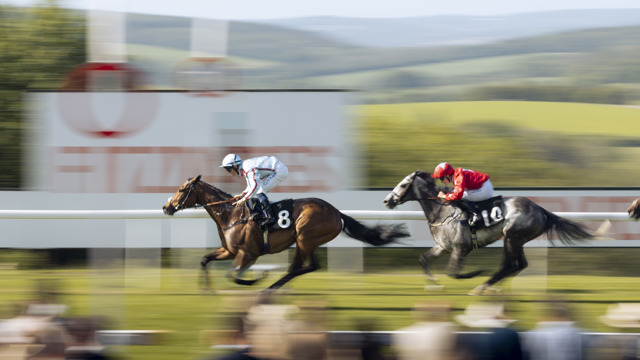 Crimson Spirit wins The Edward Bulmer Natural Paint Handicap for trainer Daniel and Claire Kubler with jockey Ray Dawson. Ph. by Max Carter.jpg