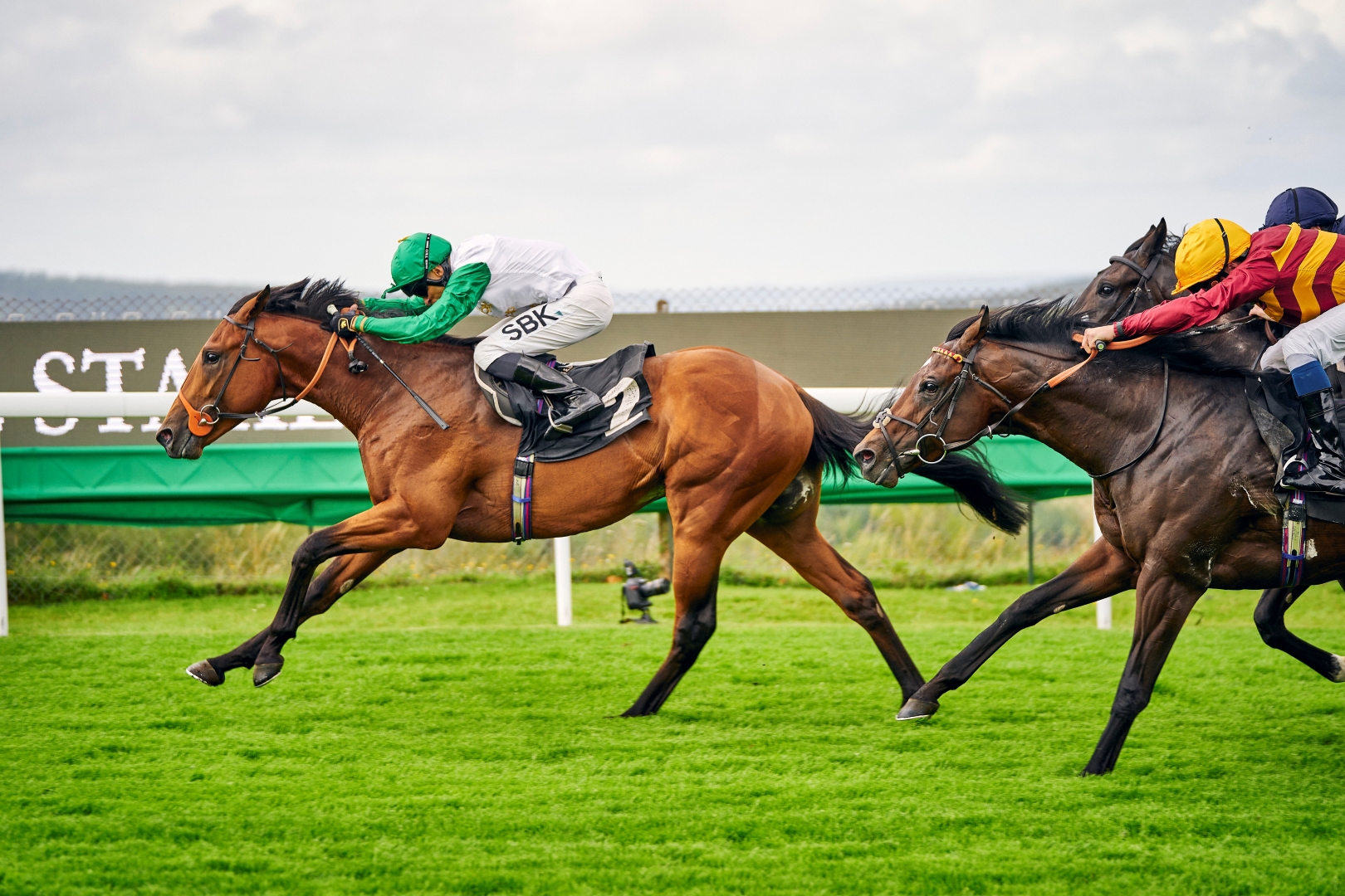 Haatem at the 2023 Qatar Goodwood Festival presented by Visit Qatar Ph. by Dominic James.jpg