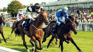 Naqeeb ridden by Ryan Sexton won the 2025 Virgin Bet Foundation Stakes Ph. by Max Carter.jpg