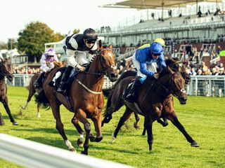 Naqeeb ridden by Ryan Sexton won the 2025 Virgin Bet Foundation Stakes Ph. by Max Carter.jpg