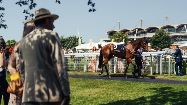 Bank Holiday sunshine in the Parade Ring for May Festival presented by Fitzdares. Ph. by Jack Beasley.jpg