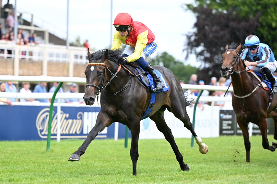 250625-018 Goodwood Galaxy.jpg