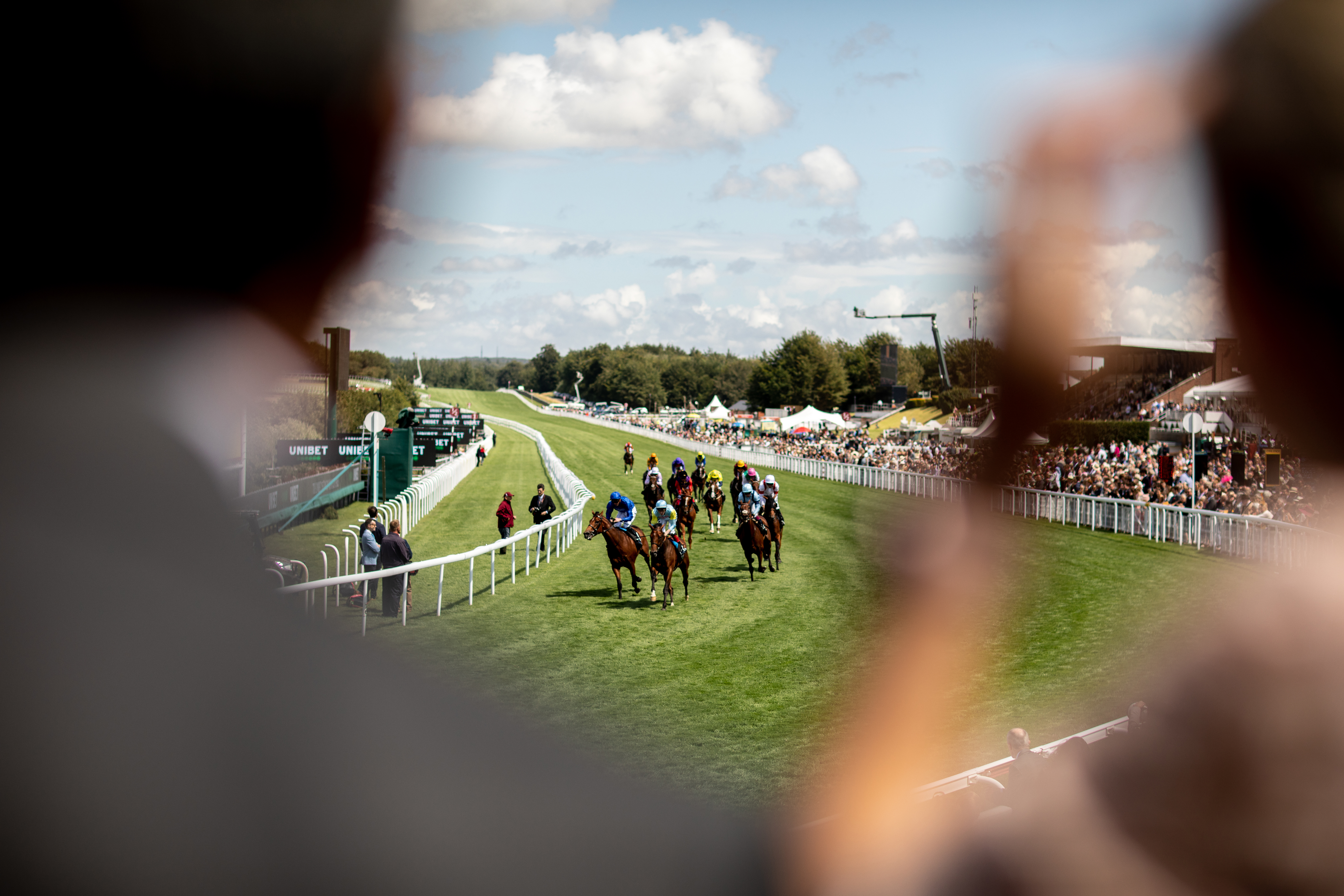 QGF2021_StephanieOCallaghan-0204 (2).jpg