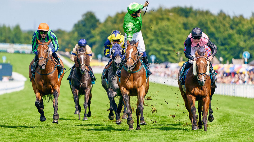 QGF2025_DominicJames_930 (1).jpg