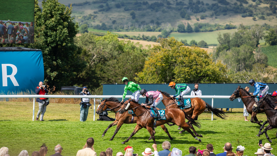 QGF2025_MattDunkinson_0802 (1).jpg