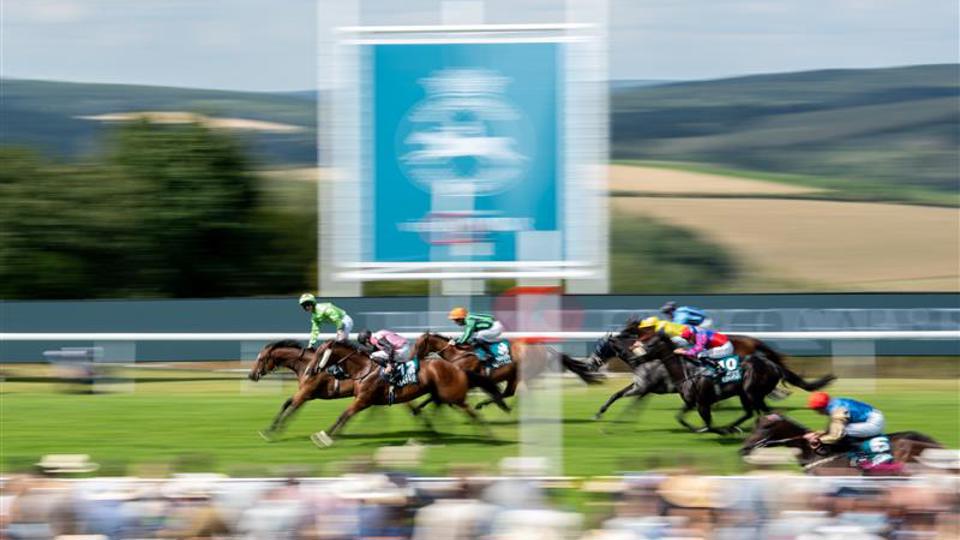 QGF2025_MattSills_0631 (1) (1).jpg