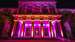 The front of Goodwood House with pink lighting