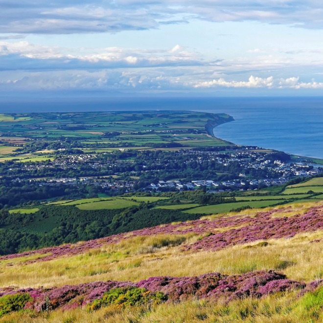 shutterstock_1324914305 1.jpg