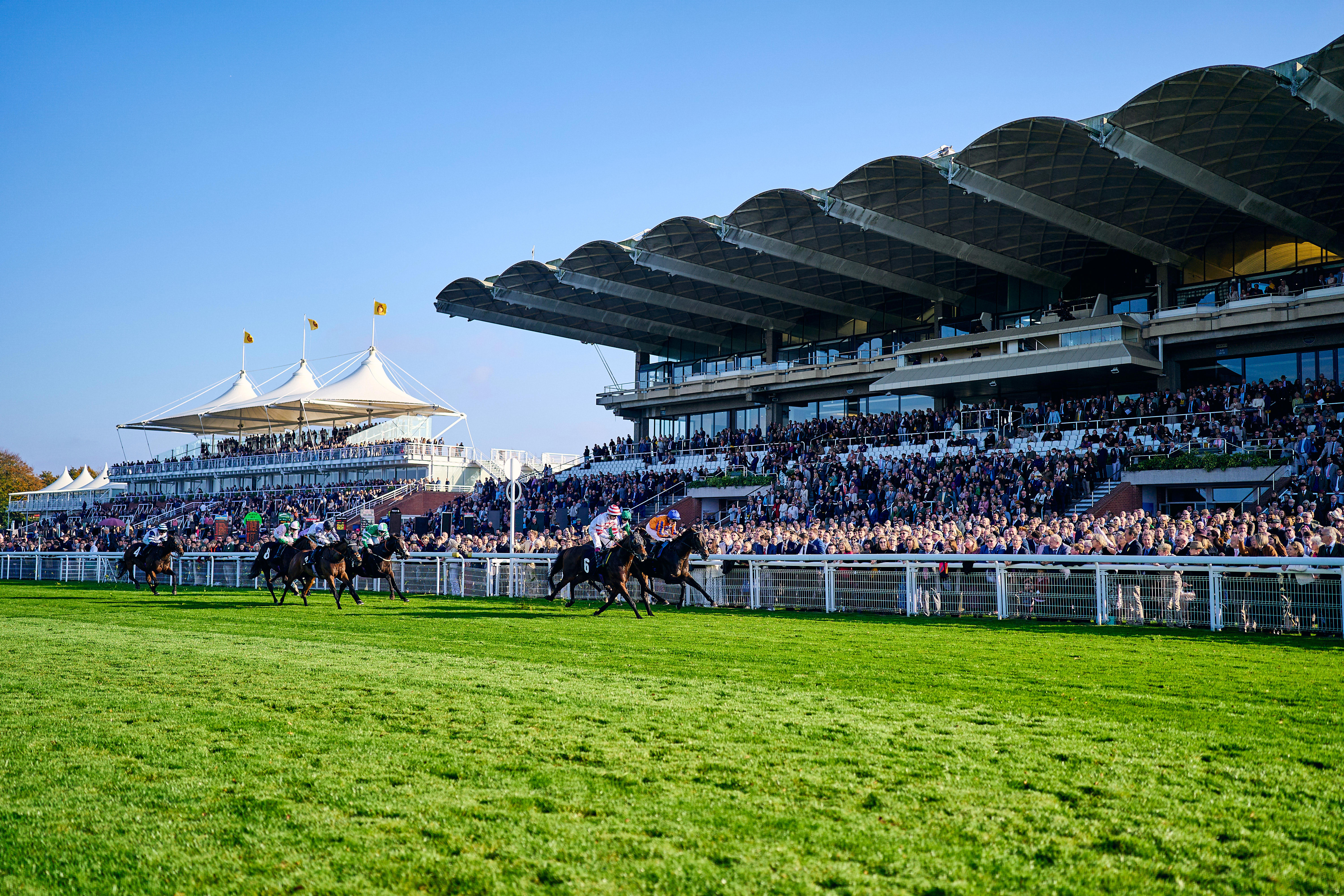 GWSEASONFINALE_2025_DominicJames_3054 (1).jpg